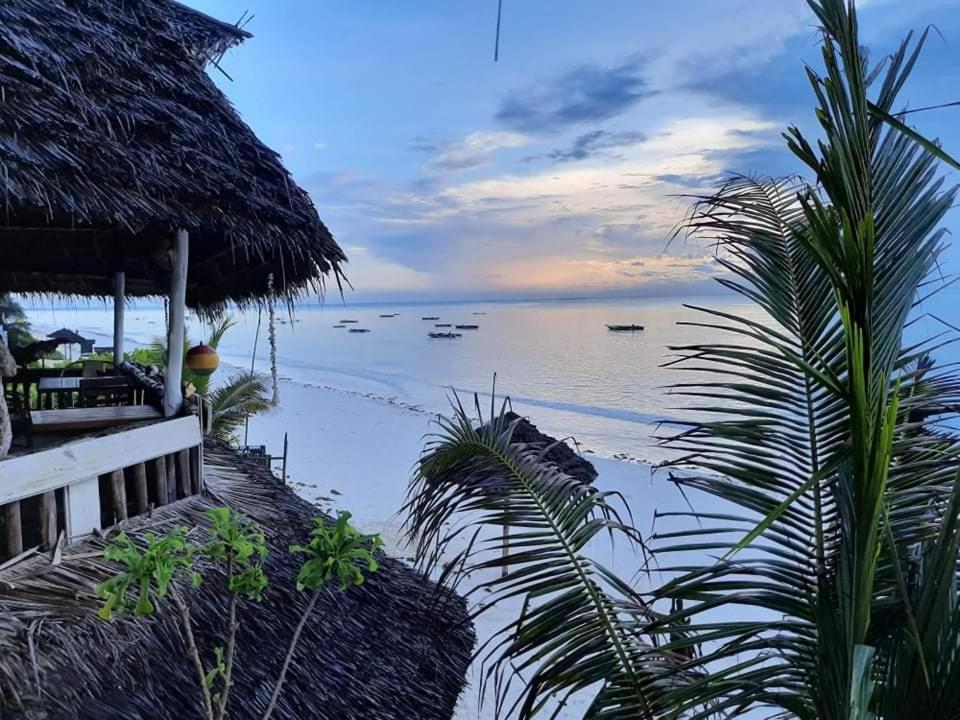 Sweet Beach Apartments Jambiani  Luaran gambar